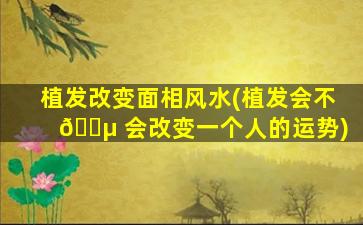 植发改变面相风水(植发会不 🌵 会改变一个人的运势)